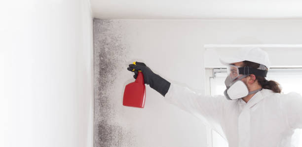 Best Preventive Mold Services in Siler City, NC